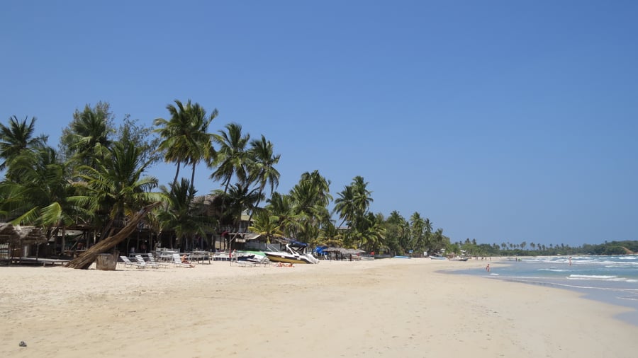 Palmklädda sandstränder vid Trincomalee
