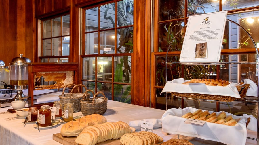 Morgenmad på O’Reillys Rainforest Retreat