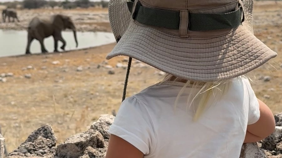 Safari-time