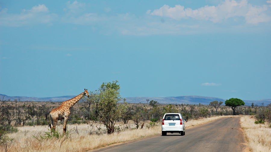 En asfalteret H vej i Kruger National Park