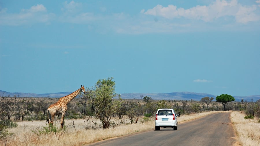En asfalteret H vej i Kruger National Park