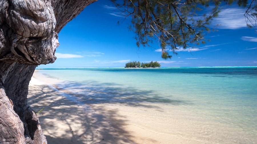 Flotte kystlinjer på Moorea