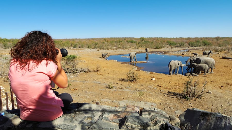 Vattenhål vid Halali Rest Camp i Etosha NP i Namibia