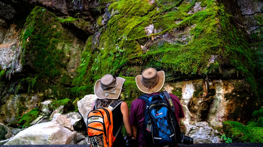 Tag på naturskønne vandreture