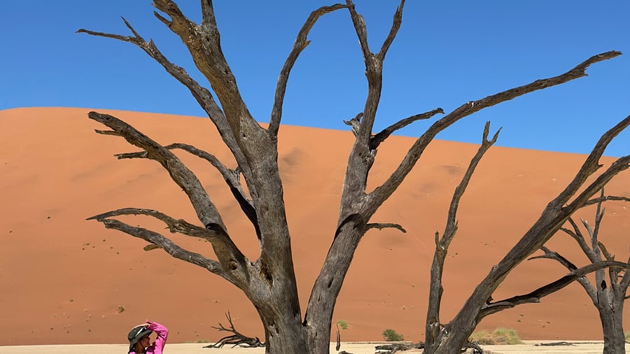 Sossusvlei