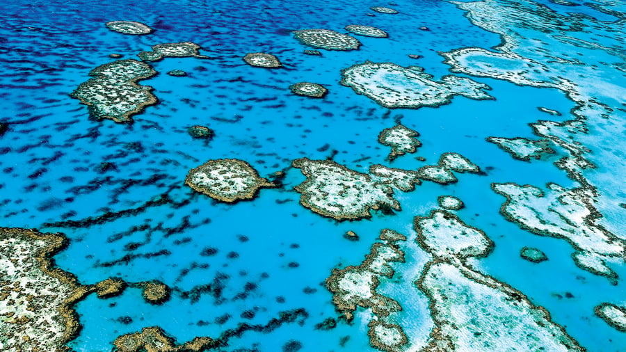 Great Barrier Reef set ovenfra