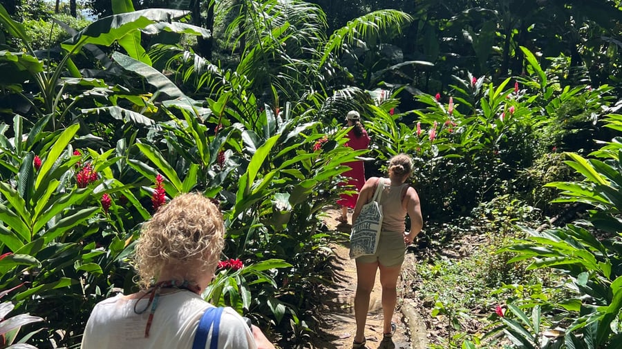 Explore Panama