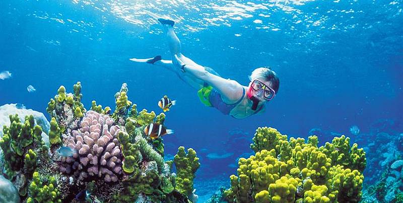 Snorkelling on Gili T