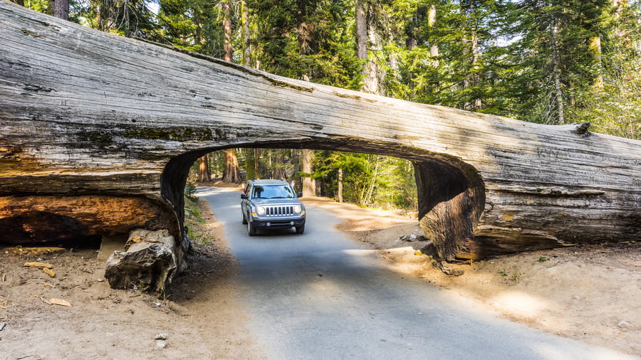 Du kører direkte gennem Tunnel Log