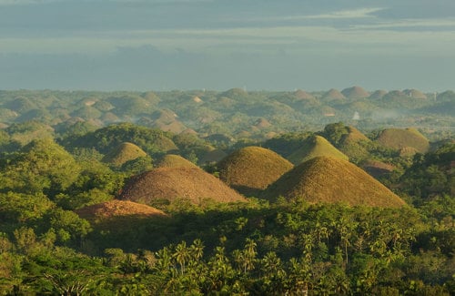 Explore fantastic Bohol