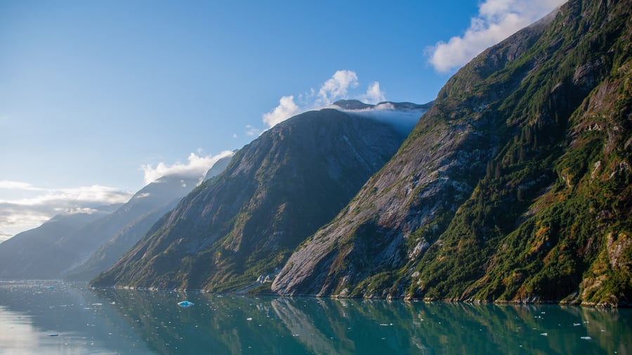 Endicott Arm
