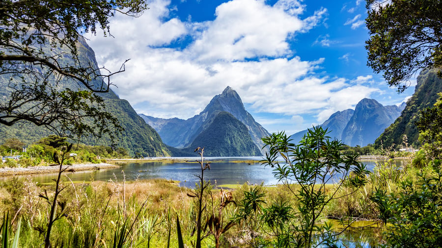 Oplev New Zealands smukke fjorde og vilde natur