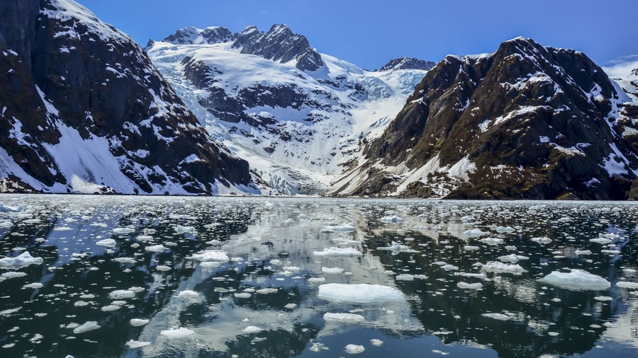 Kenai Fjords National Park ved Seward, Alaska