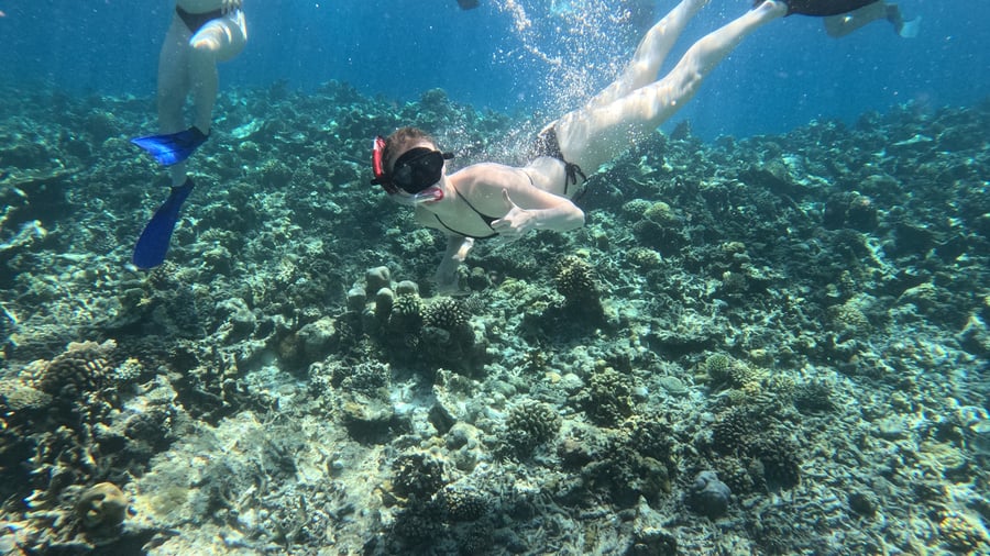 Snorkel among colourful marine life