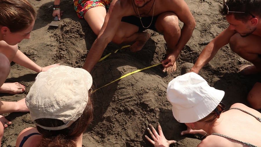 Aktiviteter på stranden