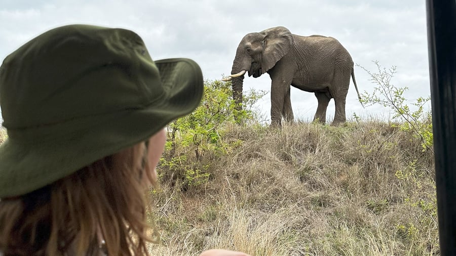 Spotting wildlife with a guide
