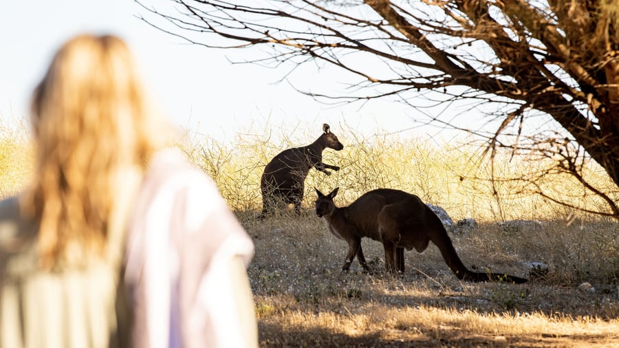 Kangaroo Island
