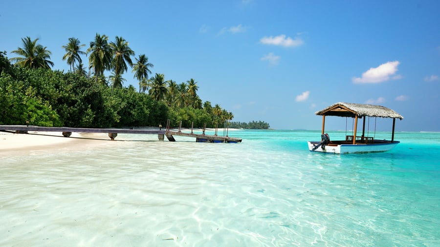 Beach day anyone?