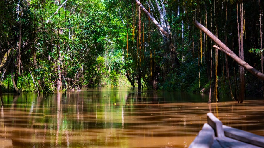 Udforsk Amazonas ad mindre vandveje