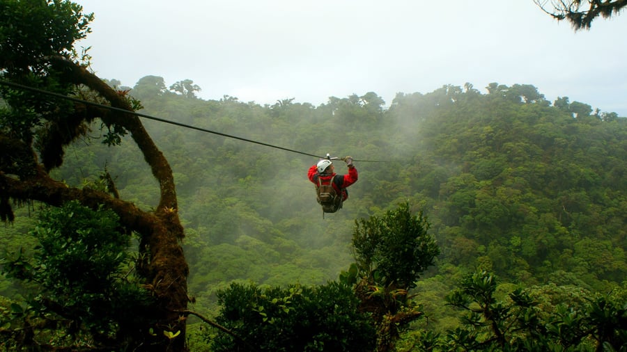 Zipline över regnskogens trädtoppar