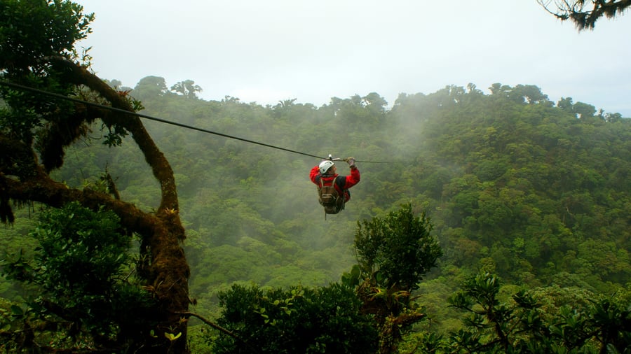 Zipline över regnskogens trädtoppar