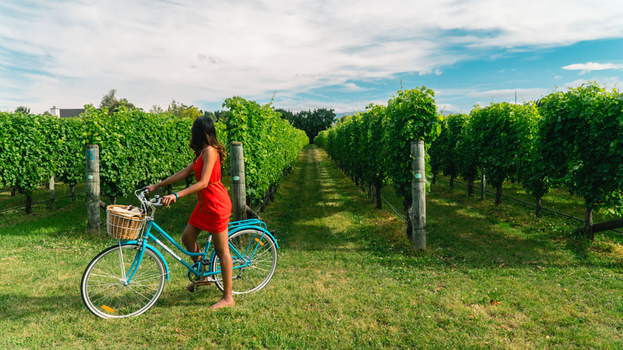 Vinmarkerne ved Blenheim