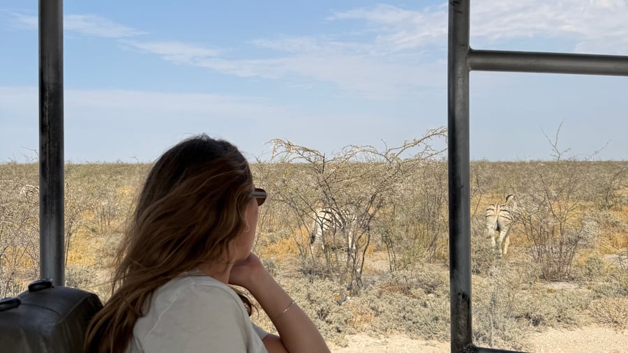 Get up close to Africa's incredible wildlife