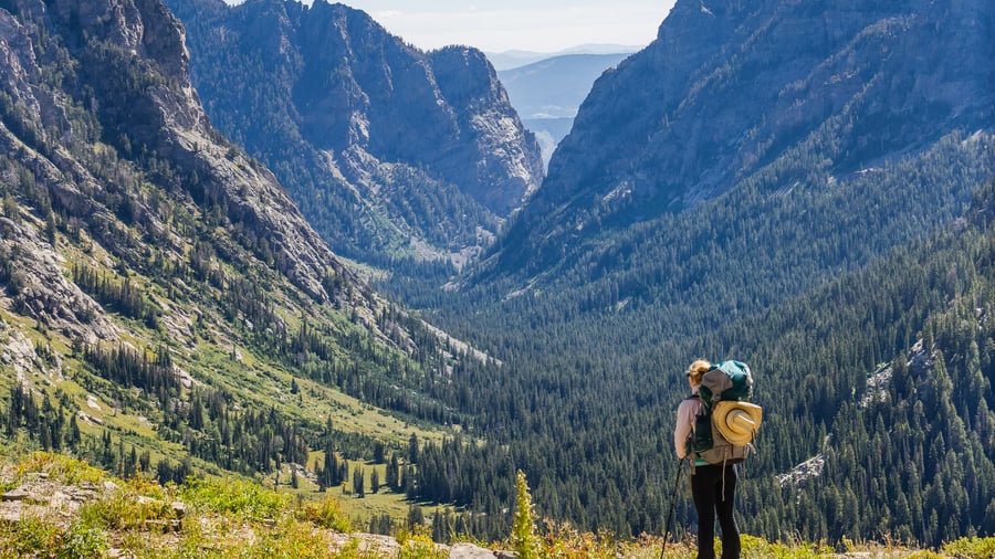 Explore Yellowstone National Park