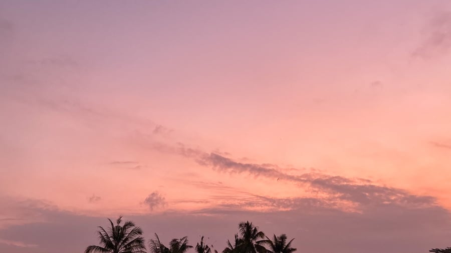 Sólsetur í dagsferð til Ubud