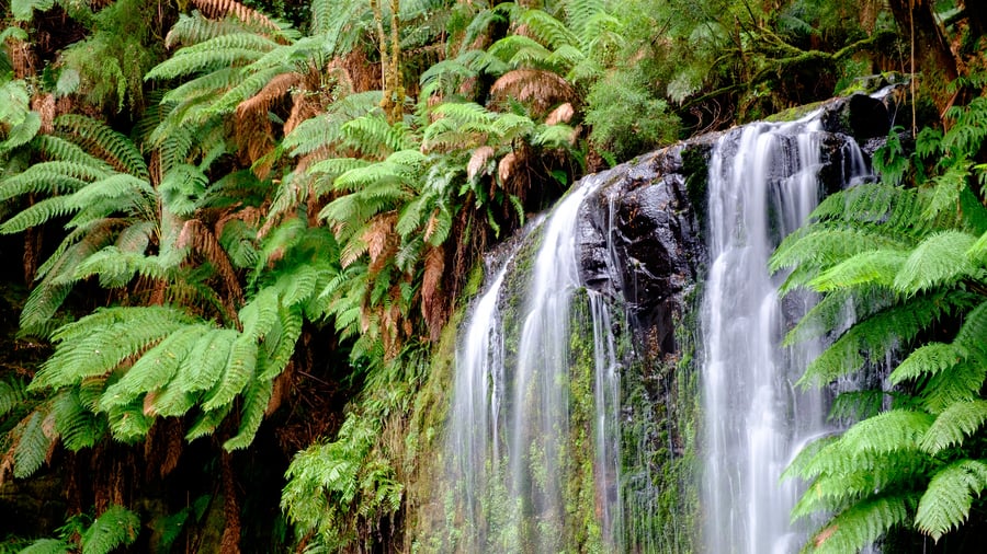 Vattenfall i Great Otway National Park
