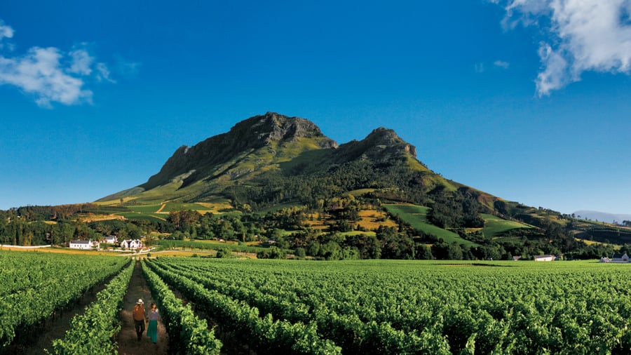 Stellenbosch