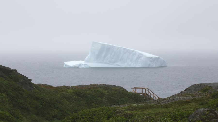 Isbjerge i Iceberg Alley ved St. Anthony, Canada