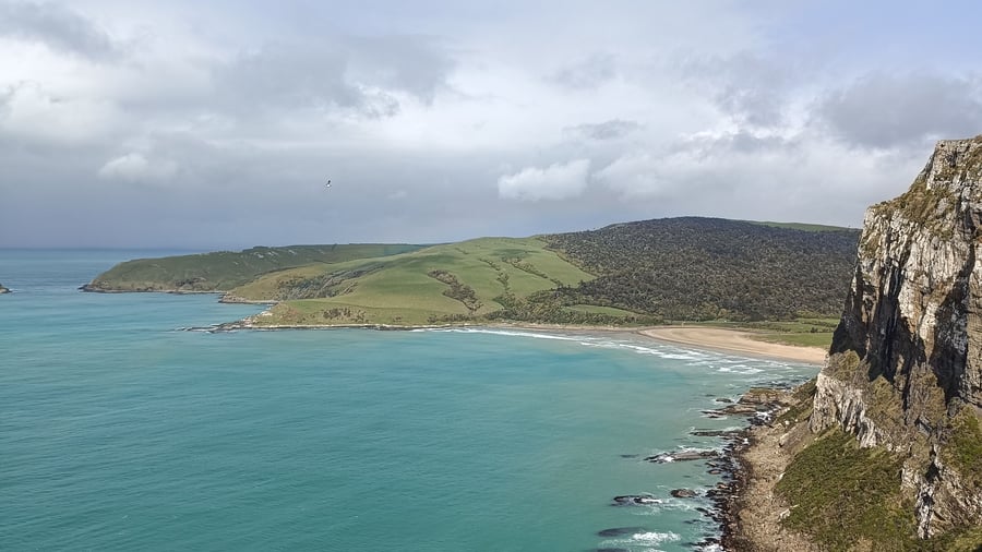 Catlins på New Zealands sydkyst
