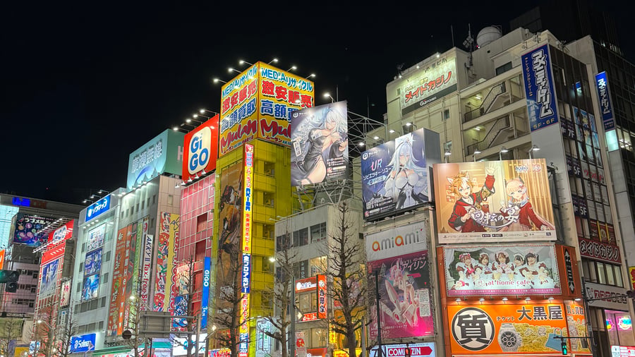 Oplev arkaderne i Akihabara