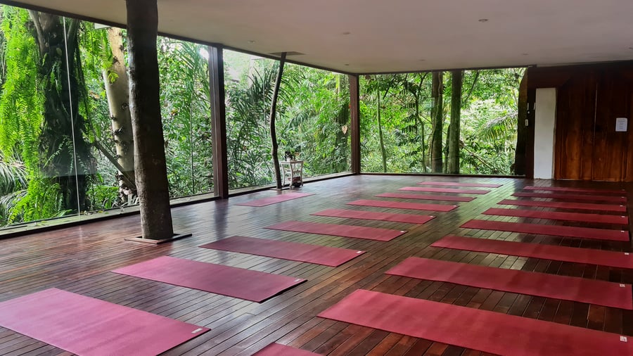 Find our yoga camps in the heart of the jungle.