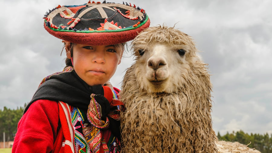 Local with a llama