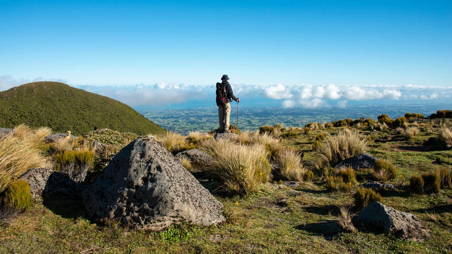 Explore North Island
