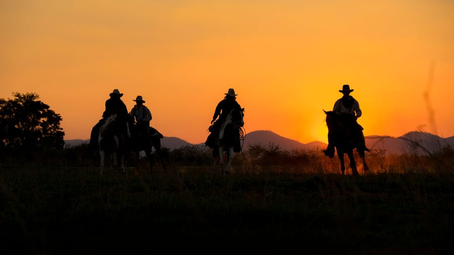 Farvel til cowboycountry i Texas