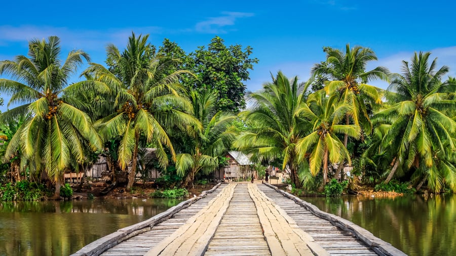 Madagascar’s Vanilla Coast