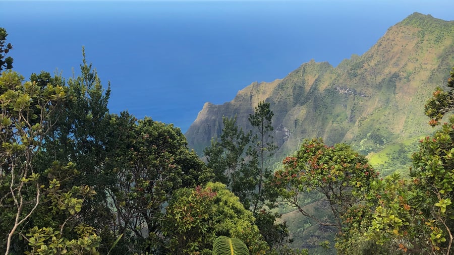 Nature of Hawaii