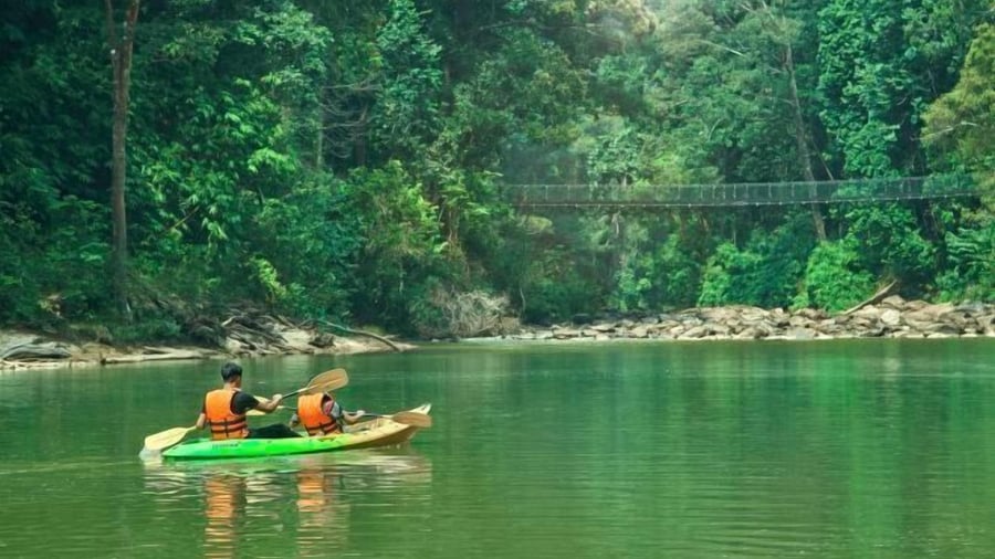 Rompin Rainforest Lodge