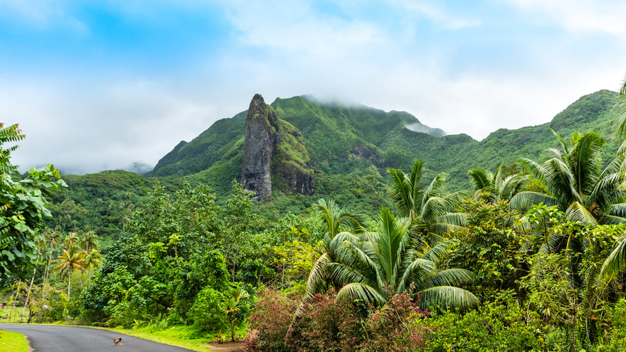Frodige Raiatea, en del af Society Islands