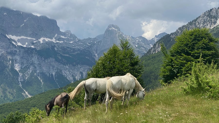 Tripmates in Albania