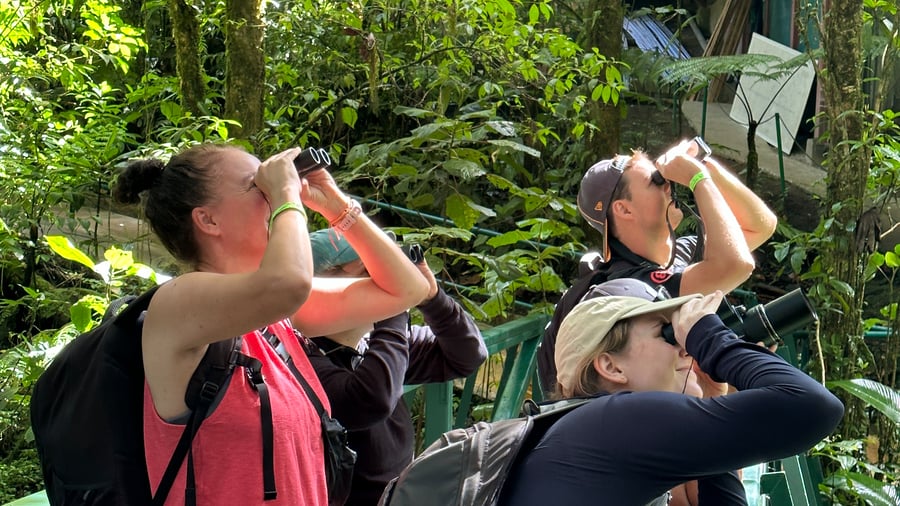 Explore Montecerde Cloud Forest. 