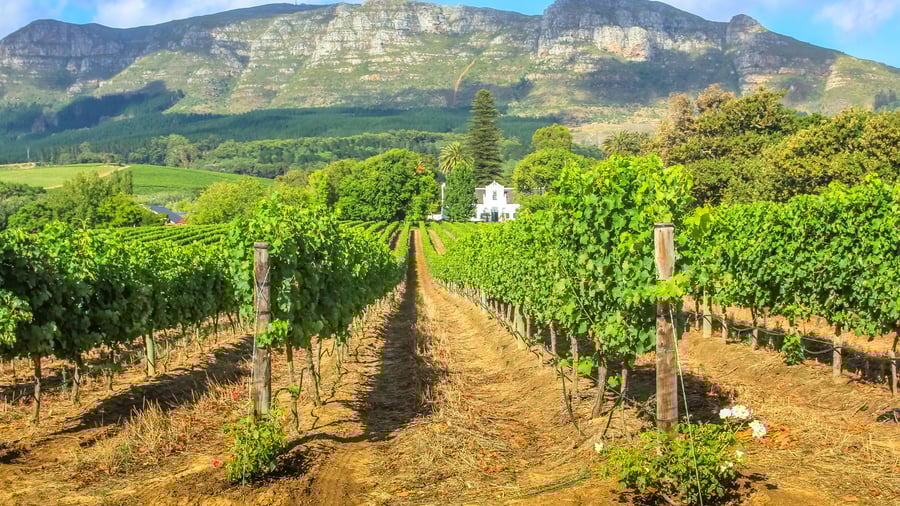 Stellenbosch, Sydafrika