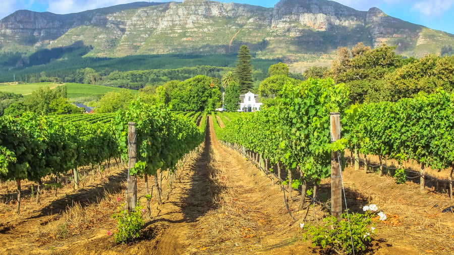 Vackra Stellenbosch med Thelema Mountain