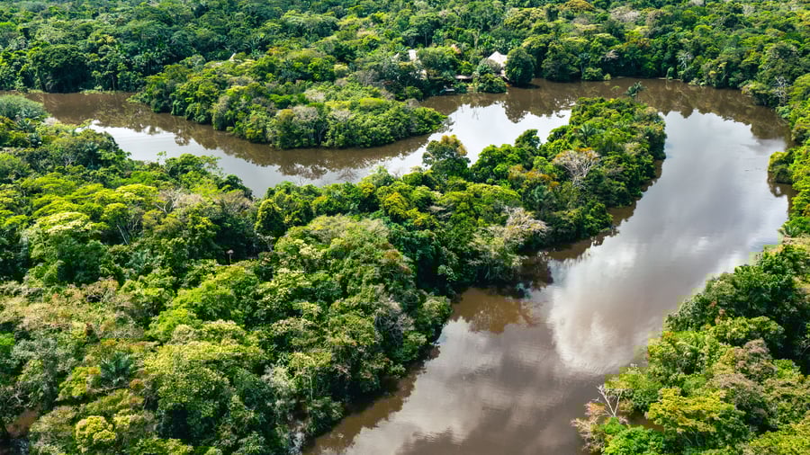 Tag på opdagelse i Amazonas ad de mange vandveje