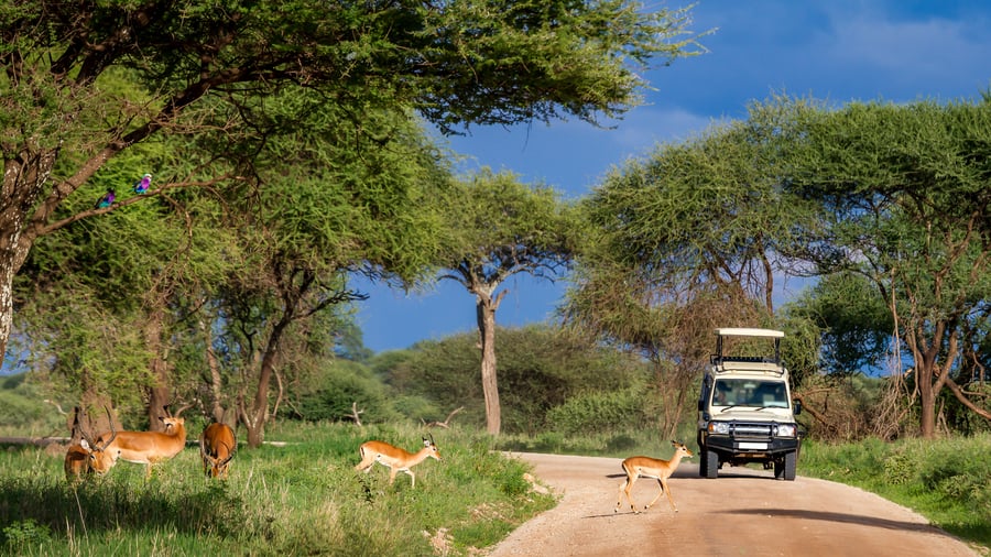 Tarangire National Park