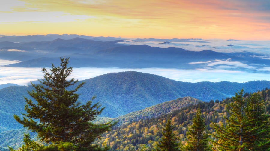 The Great Smokey Mountains