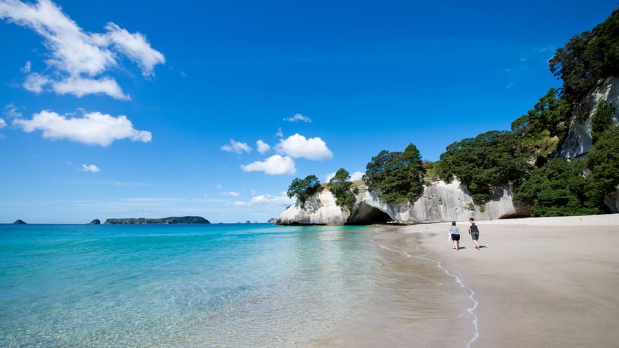 Oplev Coromandel-halvøens vilde natur